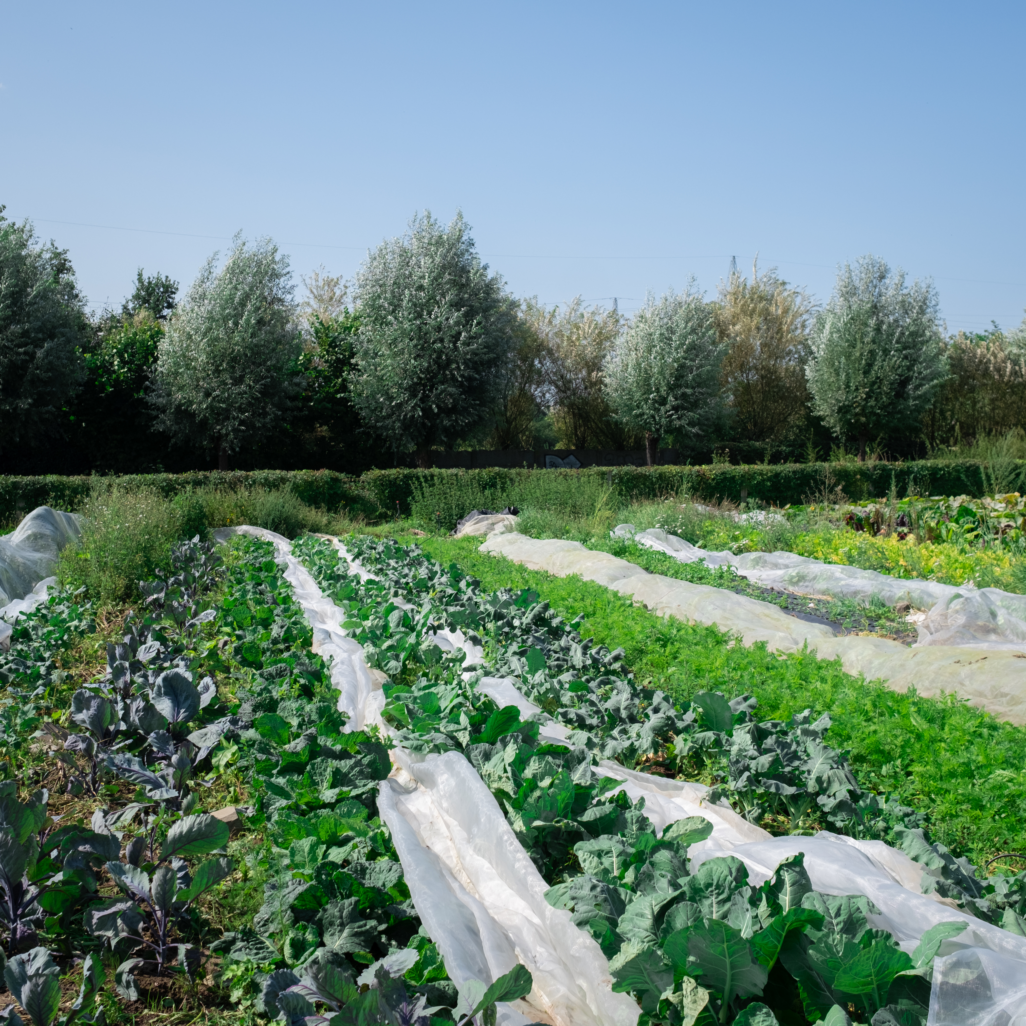 Le plus grand salon professionnel de l'alimentation bio en Belgique
