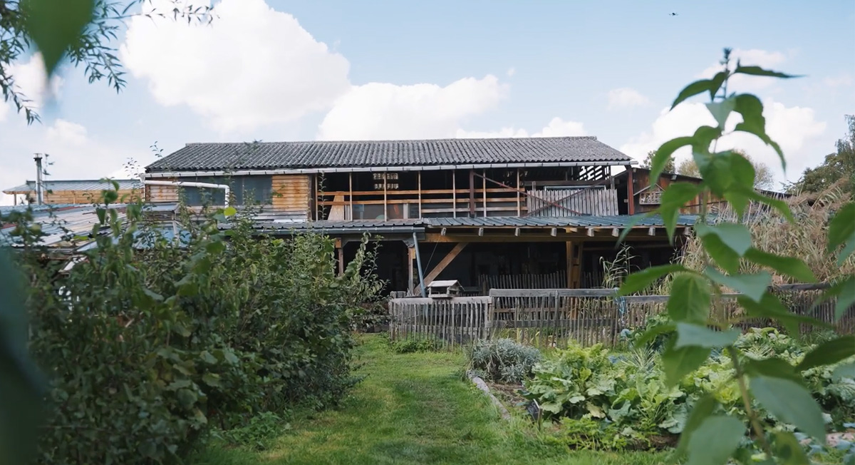 Aperçu de la vidéo