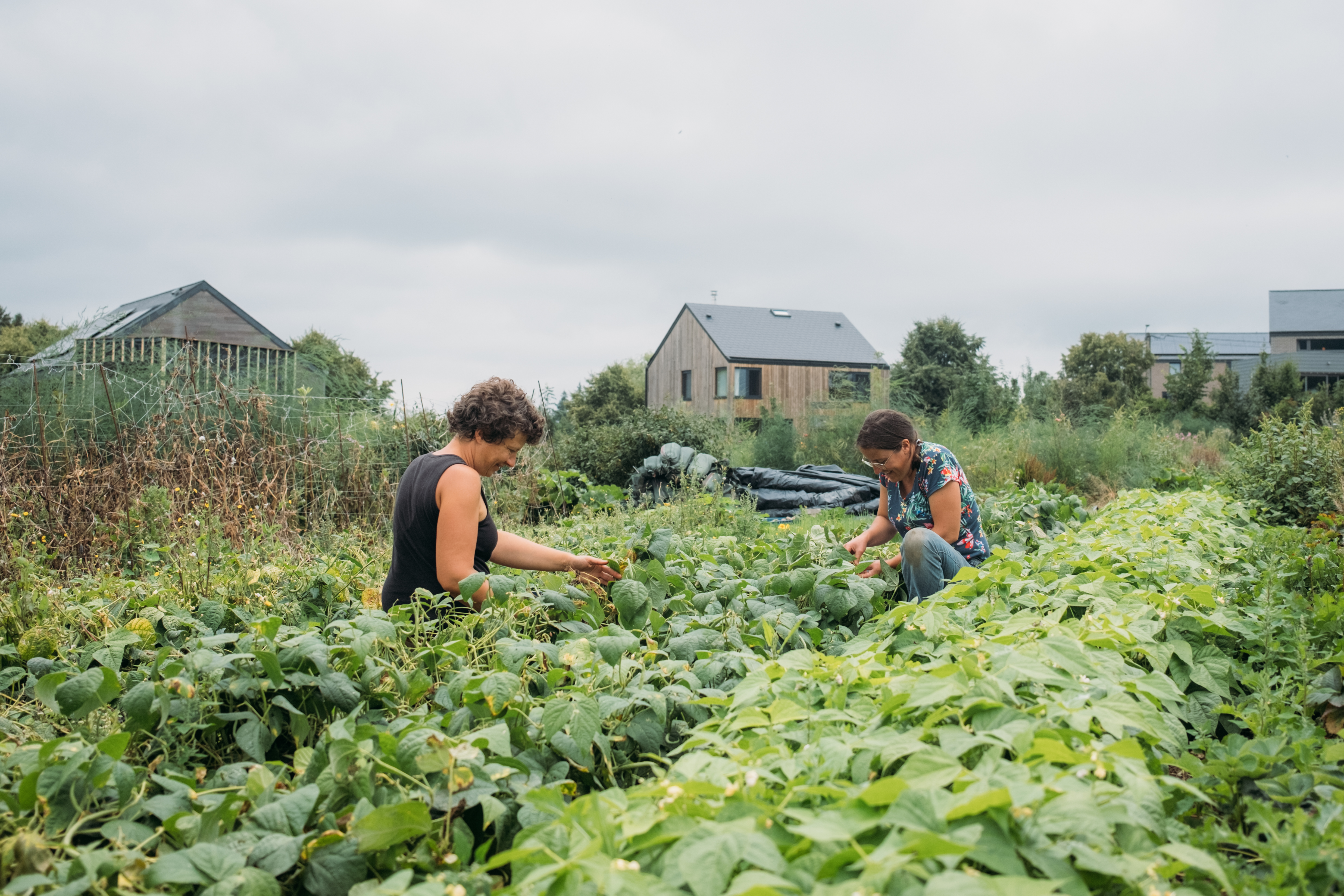 Ce <strong>bilan </strong>couvre à la fois notre <strong>fonctionnement interne</strong> et l’<strong>ensemble de notre portefeuille de crédits en cours</strong>